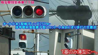 【信号機】埼玉県羽生市東1丁目 オール小糸S型格子レンズ250㎜・信号電材薄型素子型ユニット・小糸おにぎり歩灯の交差点