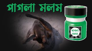 পাগলা মলম | Bangla Funny Cat Video