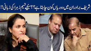 Nasim Zehra Exclusive Analysis On Sharif Brothers Politics!