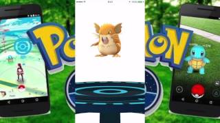 【ポケモンGO】検証実験！！！！３種類のコラッタを進化してみた結果！！！