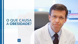 O que causa a obesidade?