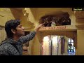 baa ri haveli 400 साल पुरानी हवेली में है 100 साल पुराने फोन वीडियो कैमरे और antique collection