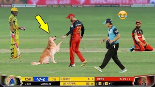 TOP 10 😂 LATEST FUNNY MOMENTS IN CRICKET