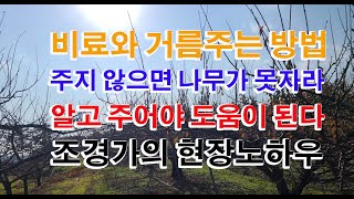 정원수 토양과 비료주기 거름주는 시기와 방법