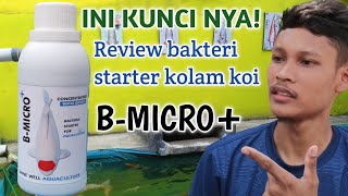 WAJIB PAKAI DIKOLAM MU! Review bakteri starter bmicro bakteri starter kolam | penghobi koi indramayu