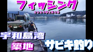 ２０２４年２月４日　宇和島湾築地　釣り　サビキ釣り　アジ釣り