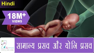 सामान्य प्रसव और योनि प्रसव | NORMAL LABOR \u0026 VAGINAL BIRTH | Hindi