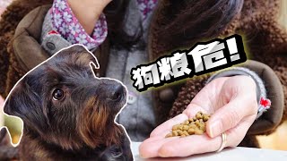 [CC SUB] Seeing the shit shoveling officer eating cat food, the dog fell into deep worry.