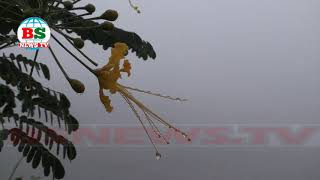 শিশির আর কুয়াশায় সেজেছে প্রকৃতি ।। Nature Is Covered In Dew And Fog.