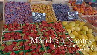 Living in France🌿Shopping at the oldest marché in Nantes/Weekend lunch/Oyster season