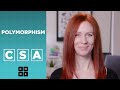CSA: Polymorphism