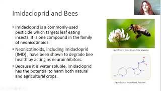 The Analysis of Imidacloprid in Water and Soil Samples Using HPLC - Jessica Vinskus