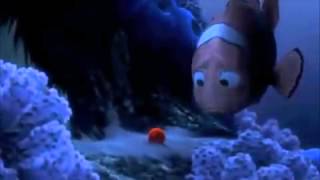 Finding Memo - Nemo Egg Scene