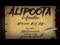 alipoota audio virsualizer by stream of life kennedy sec school.