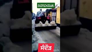 SANDAUR Pind #shortvideo