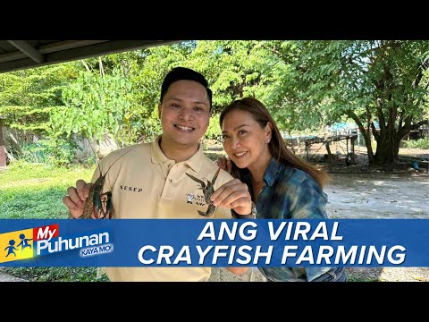 'My Puhunan: Kaya Mo!': Crayfish farming sa Santa Maria, Bulacan, bakit nagviral?