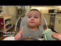 maverick tries eggplant baby led weaning 8 months