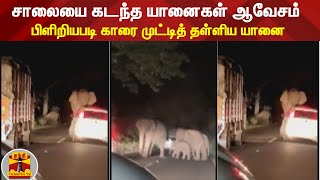 சாலையை கடந்த யானைகள் ஆவேசம் - பிளிறியபடி காரை முட்டித் தள்ளிய யானை | Sathyamangalam