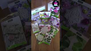 Katy Sue Flower Pro for Beginners UnBoxing #shorts