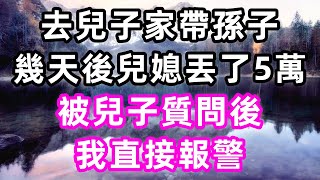 去兒子家帶孫子，幾天後兒媳丟了5萬，被兒子質問後我直接報警#珍珍說故事#心書時光 #為人處事 #生活經驗 #情感故事 #唯美频道 #爽文