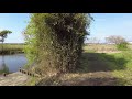 【4k】ukishimanuma fishing park walking video from japan dji pocket 2