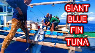 Ep8-Nahanap na namin ang Pugad ng Giant Blue Fin Tuna sa Pacific Ocean