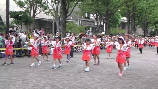 2013 原宿表参道元氣祭スーパーよさこい２８