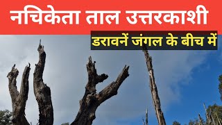 NACHIKETA TAAL UTTARKASHI || nachiketa tal || @humsafarvlog