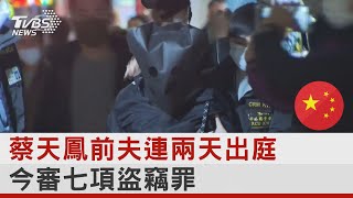 蔡天鳳前夫連兩天出庭 今審七項盜竊罪｜TVBS新聞@internationalNewsplus