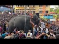 thirunakkara pooram 2023 തിരുനക്കര പൂരം 2023 elephant entry full video