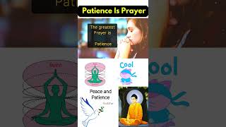 Buddha Quotes 12 Patience Is Prayer #shorts #buddha #short