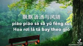 Đoạn Tình Duyên Gửi Tặng Cho Ai - 片片相思赋予谁 . Nhạc hot tiktok ( vietsub)