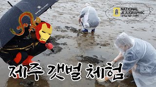 제주도 갯벌 체험! 이것만 기억해 주세요!