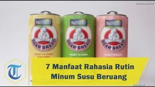 7 Manfaat Rahasia Rutin Minum Susu Beruang