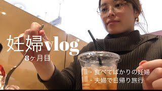 【妊婦vlog 】エコー写真アルバム | 出産準備買い物 | プチ旅行