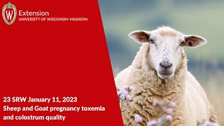 Pregnancy Toxemia and Colostrum Quality with  Dr. R. Van Saun