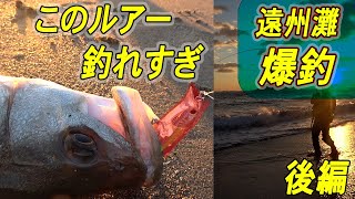 遠州灘サーフでシーバスが・・・やばい釣れる　後半