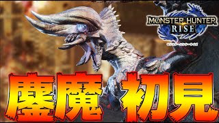 ヌシ系現最強！ヌシディアブロスが鏖魔ディアブロスすぎる件【モンハンライズ】【MHRise:モンスターハンターライズ】