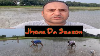 jhona season special conversation with labour  | jhona |  Rice cultivation in punjab |