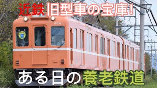 ある日の養老鉄道　団体臨時もあり！