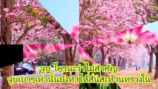 จูบ สุเทพ วงศ์คำแหง