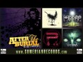 AFTER THE BURIAL - A Steady Decline (2013)