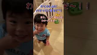 かくれんぼにハマっている幼児ちゃん