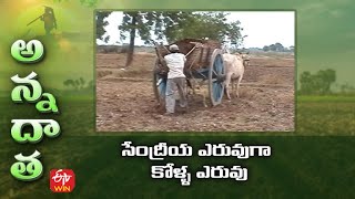 సేంద్రీయ ఎరువుగా కోళ్ళ ఎరువు | Utilisation of Poultry Mannure for organic farming | ETV