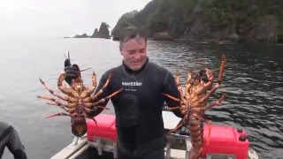 Wettie TV- Fiordland Spearfishing April 2016 PART I