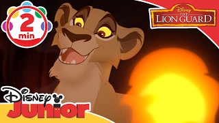 The Lion Guard | Lions Over All | Disney Junior UK