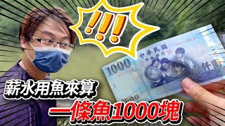 【跟我去釣魚】薪水用釣魚來算 紓困加薪新企劃 野池釣鱸魚 #要釣幾條魚 #路亞