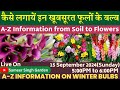 कैसे लगायें इन खूबसूरत फूलों के बल्ब || A-Z Information from Soil to Flowers || Winter Flower Bulb