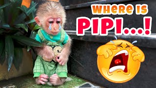 Monkey TiTi cried because he thought PiPi and Dad had abandoned him.