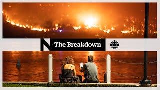 The Breakdown | Climate impact of wildfires + Granfluencers on your #fyp
